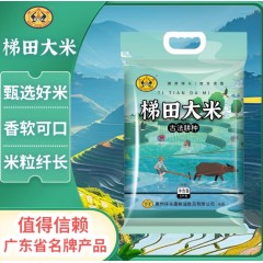 伴永康梯田大米10斤 长粒香米 南方大米
