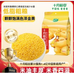 十月稻田 黄小米 1kg 小米杂粮 五谷杂粮 小黄米 粗粮 早餐粥米 2斤