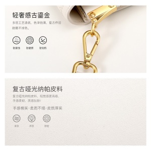 缇纳迷你ck小包包女包新品单肩斜挎包女士2021新款潮流行春夏时尚休闲百搭网红风琴明星同款式品牌丝巾 巧克力酒红